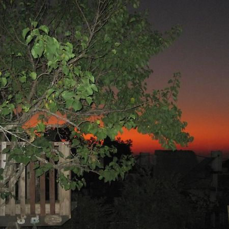 The House By The Mulberry Tree Leilighet Neve Ilan Eksteriør bilde