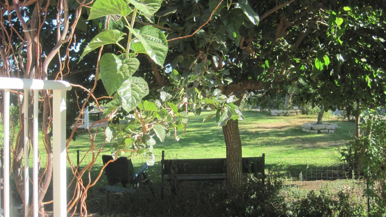 The House By The Mulberry Tree Leilighet Neve Ilan Eksteriør bilde