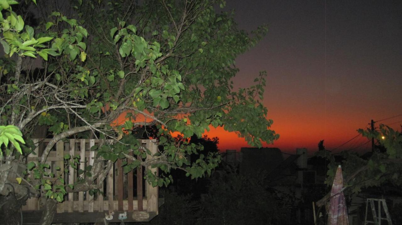 The House By The Mulberry Tree Leilighet Neve Ilan Eksteriør bilde